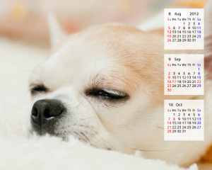 Wallpaper Calendar
